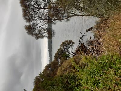 a view from Esplanade East